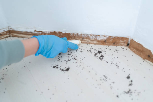 Best Pest Control Cost  in USA